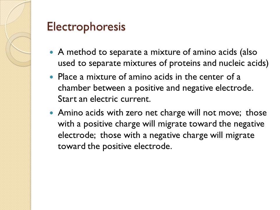 Gel electrophoresis of nucleic acids